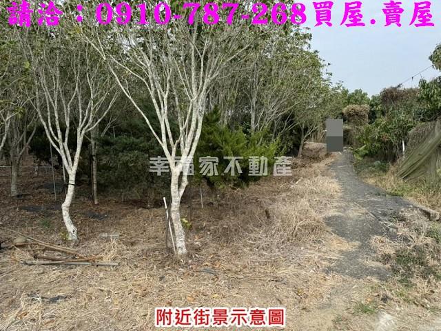 台南楠西農地-5