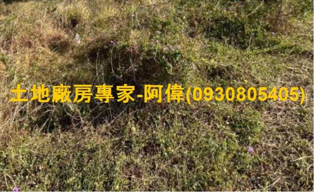 台南仁德工業地-0