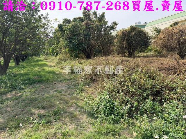 台南麻豆工業地-3