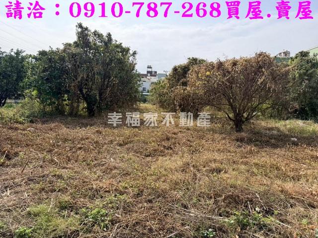 台南麻豆工業地-4