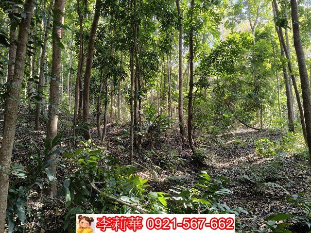 台南龍崎農地-10