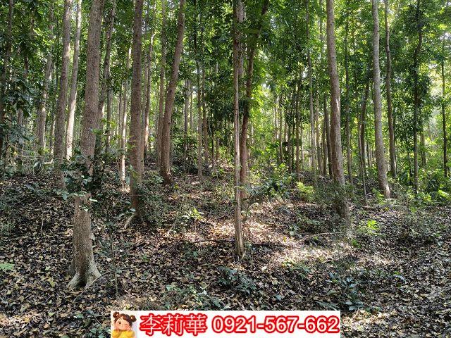 台南龍崎農地-8