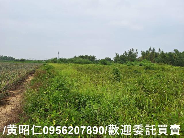 關廟農地-8