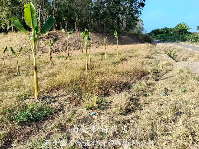 台南農地-4