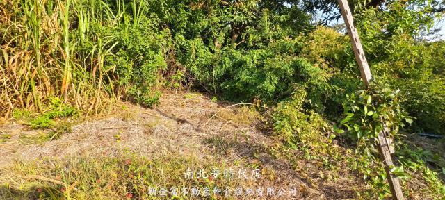 台南農地-1