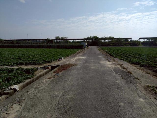 台南新化農地-2