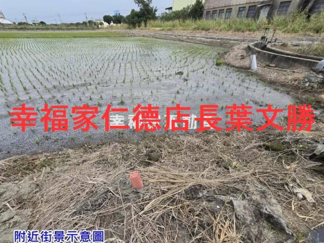 台南麻豆農地-11