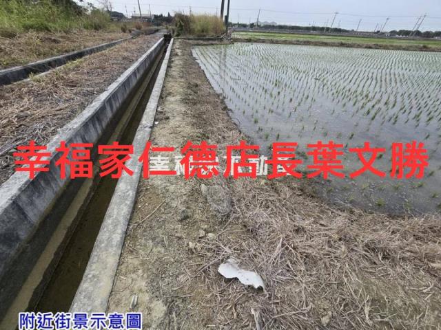 台南麻豆農地-13