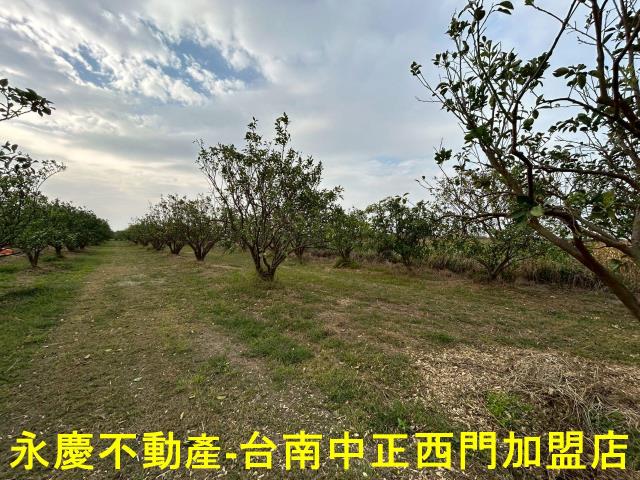 台南麻豆農地-10