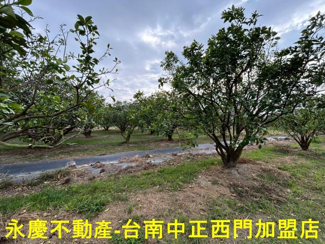 台南麻豆農地-11