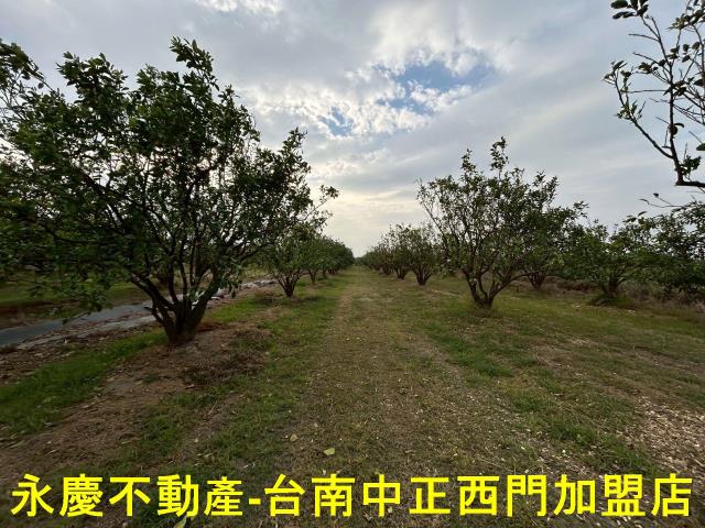 台南麻豆農地-12