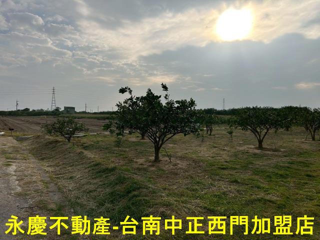 台南麻豆農地-0