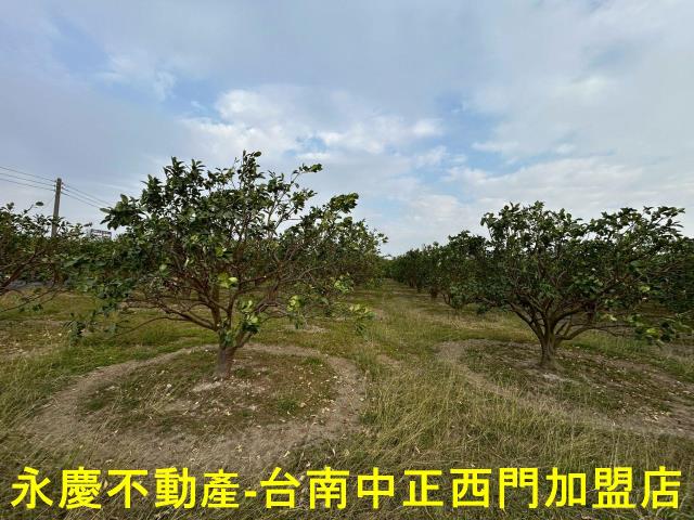 台南麻豆農地-5