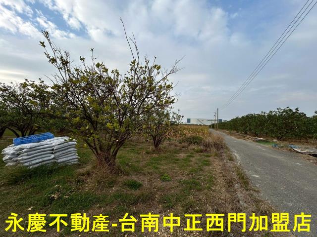 台南麻豆農地-6