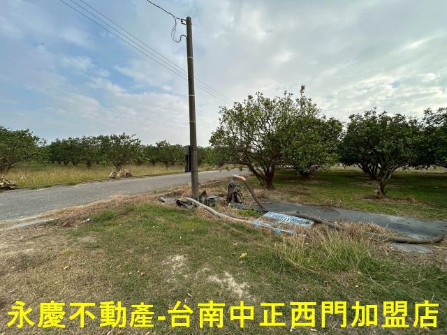 台南麻豆農地-8