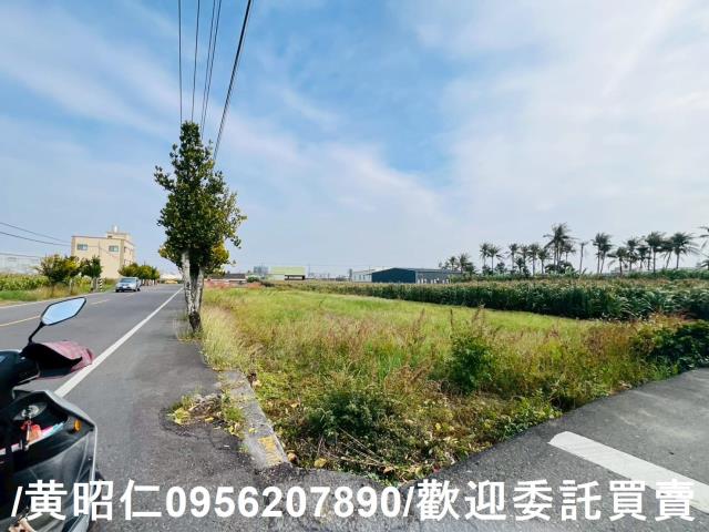 台南安定農地-1