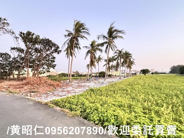 台南仁德農地-4