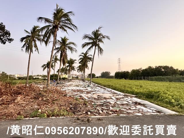 台南仁德農地-5