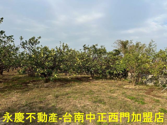 台南麻豆農地-0