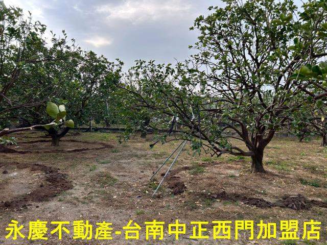 台南麻豆農地-2