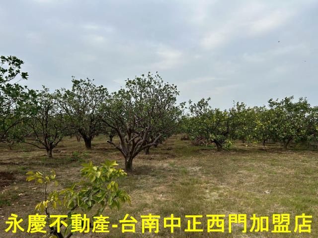 台南麻豆農地-4