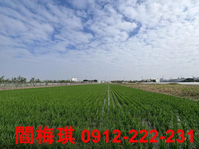 麻豆農地-3