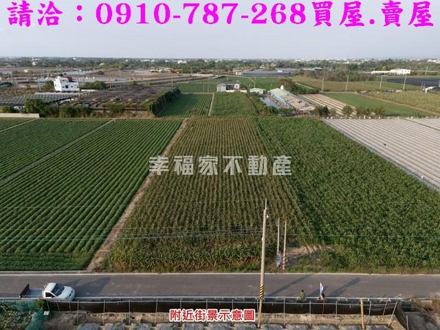柳營農地-6