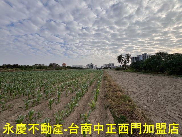台南安南農地-2