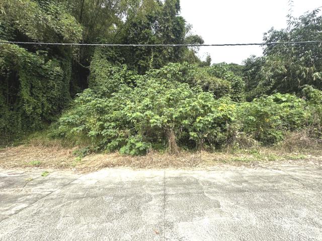 台南龍崎農地-2