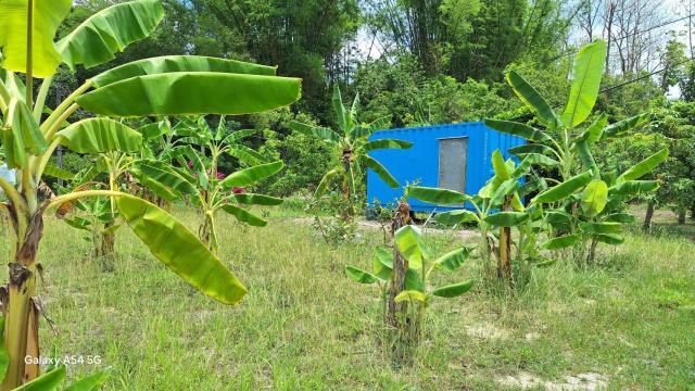 台南左鎮農地-7