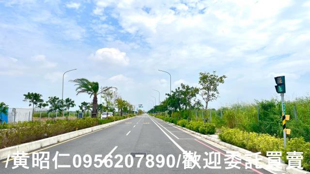台南善化建地-6