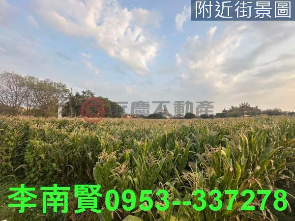 台南農地-6