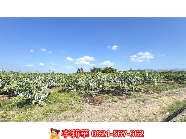 台南玉井農地-7