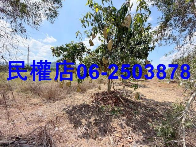 台南玉井農地-9