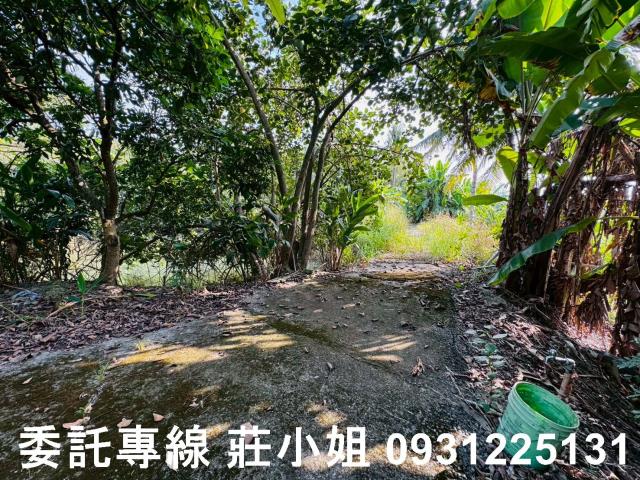 台南左鎮農地-2