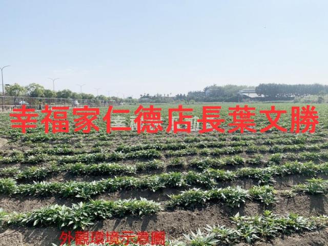 善化農地-4