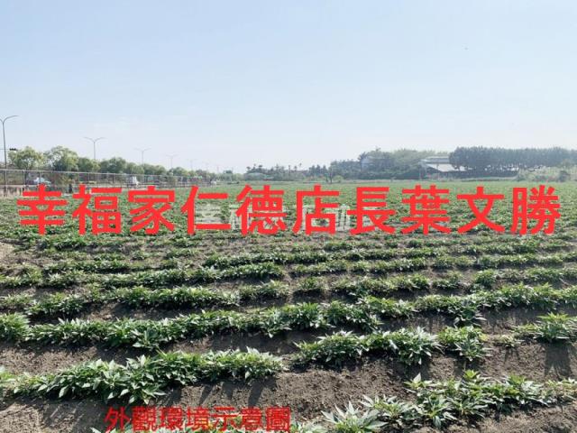 善化農地-10