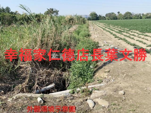 善化農地-2