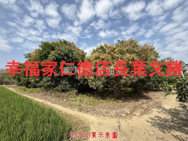 台南歸仁農地-5