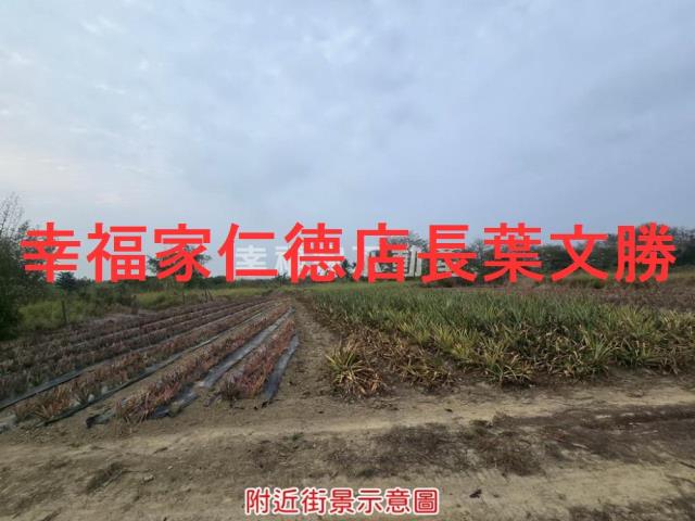 台南歸仁農地-5