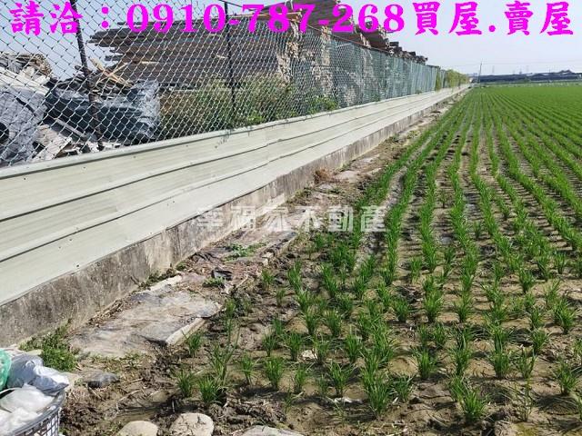 台南農地-8