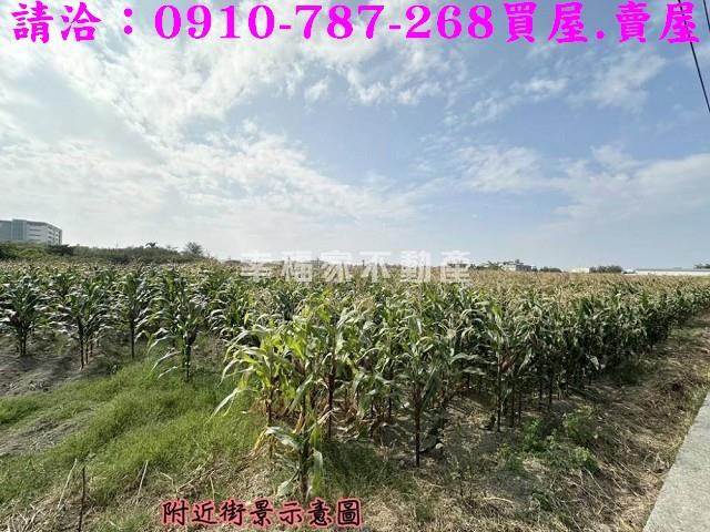 台南西港農地-10