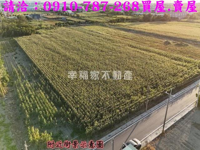 台南西港農地-0