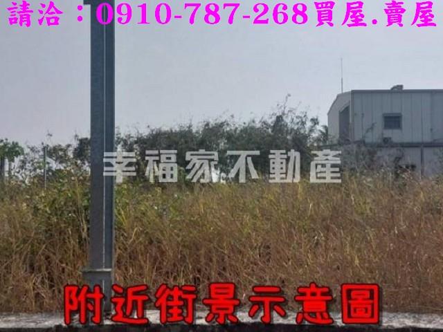 台南仁德農地-6