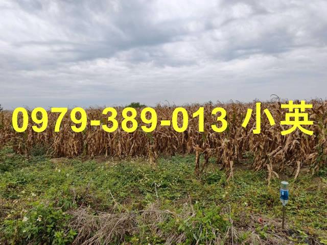 台南鹽水農地-1