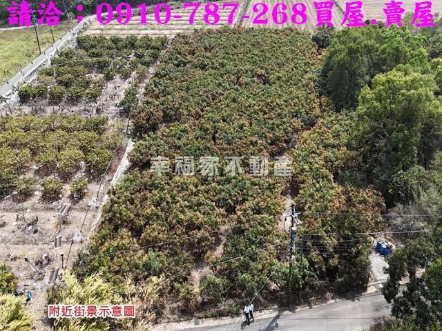 台南官田農地-10