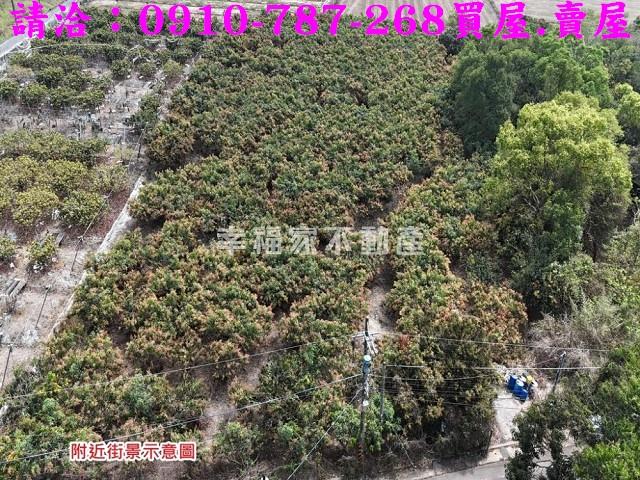 台南官田農地-13