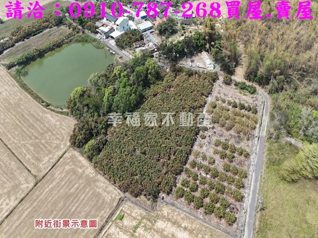 台南官田農地-0