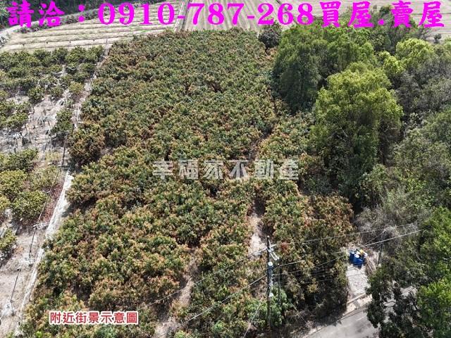 台南官田農地-4