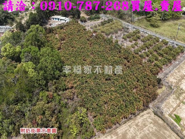 台南官田農地-5